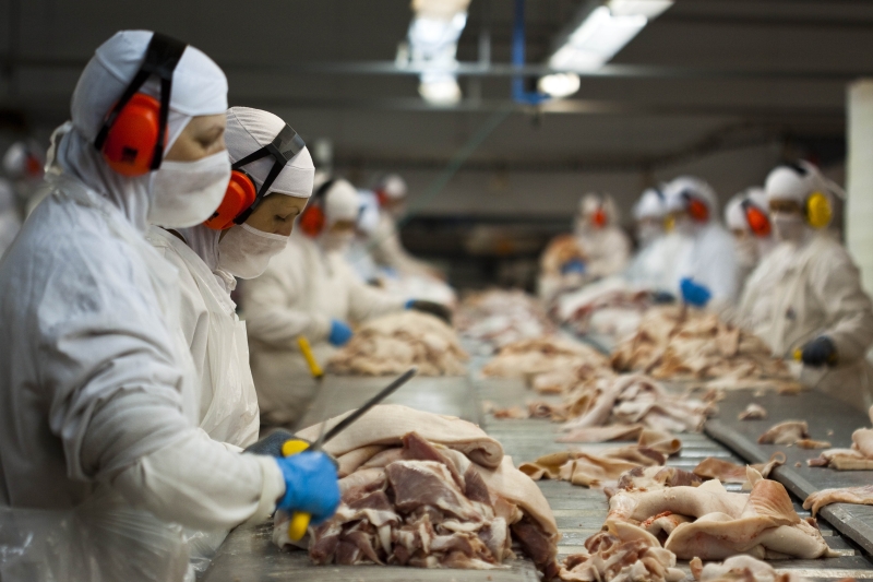 Setor de alimentos está entre os que registraram queda nas vendas e nas exportações (foto: Plínio Bordin/FIESC)